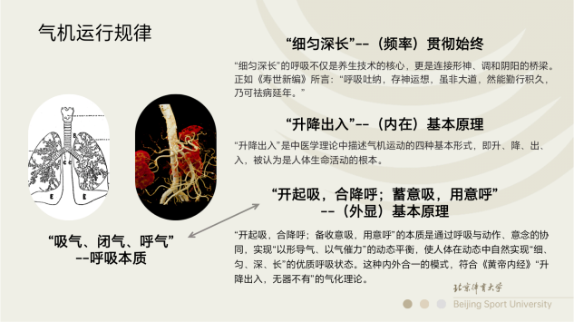 c1d300e0df57456c97cebcca3b7478b8.png